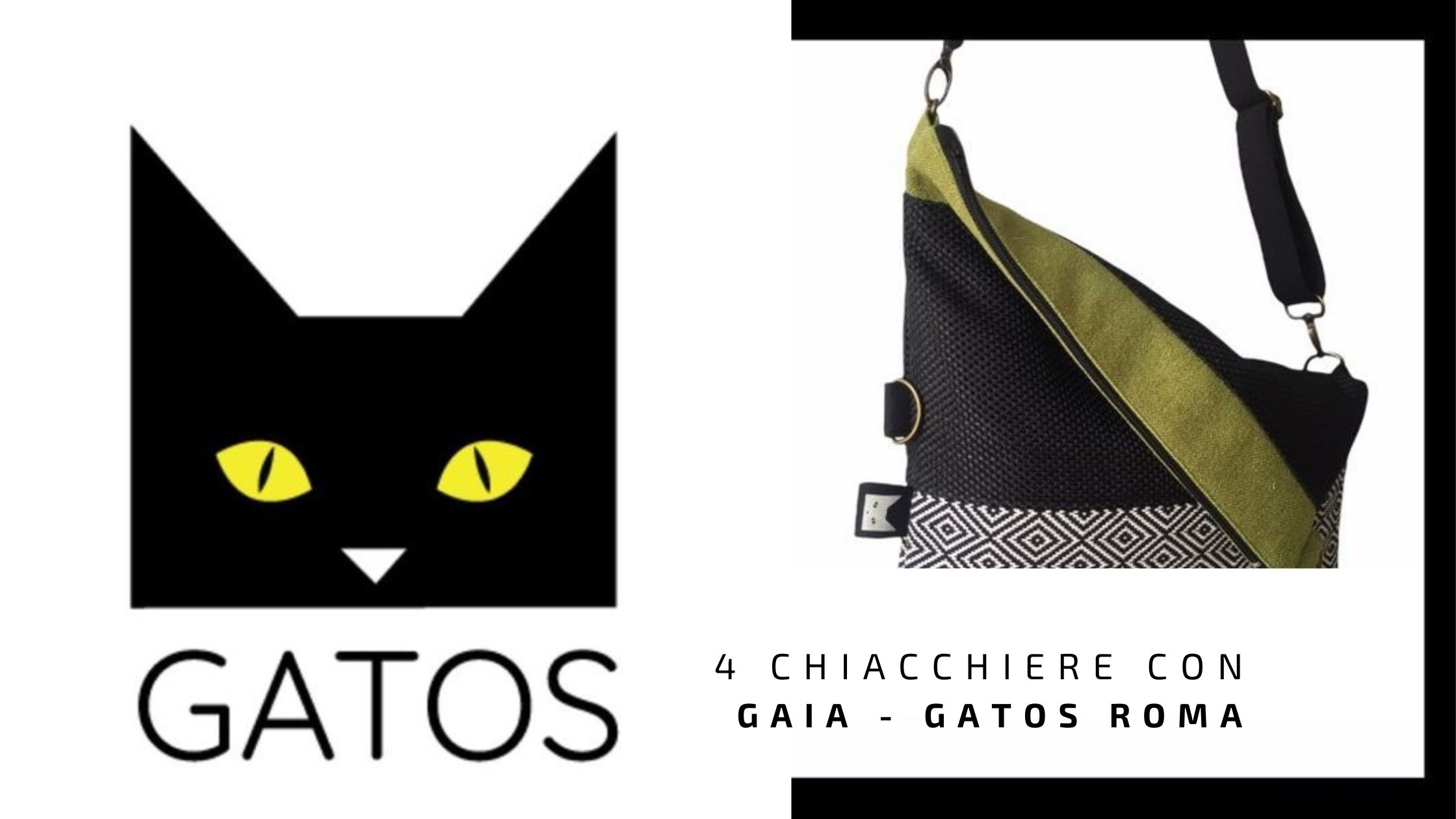 4 chiacchiere con gatos roma